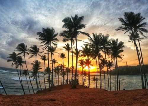 Coconut Hill Mirissa – Iconic Palm Viewpoint on Sri Lanka’s Coast