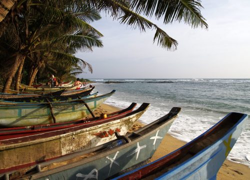 Discover Mirissa Beach: Your Ultimate Boating and Relaxation Destination in Sri Lanka