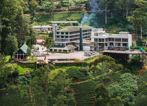 Visit Damro Tea Plantation: Discover the Art of Tea Production in Sri Lanka