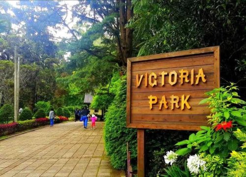 Exploring Victoria Park: A Natural Gem in Nuwara Eliya, Sri Lanka